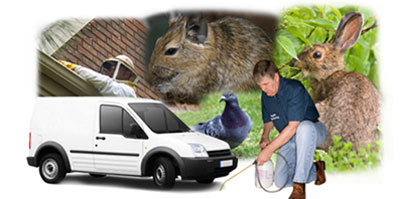 Spennymoor local van